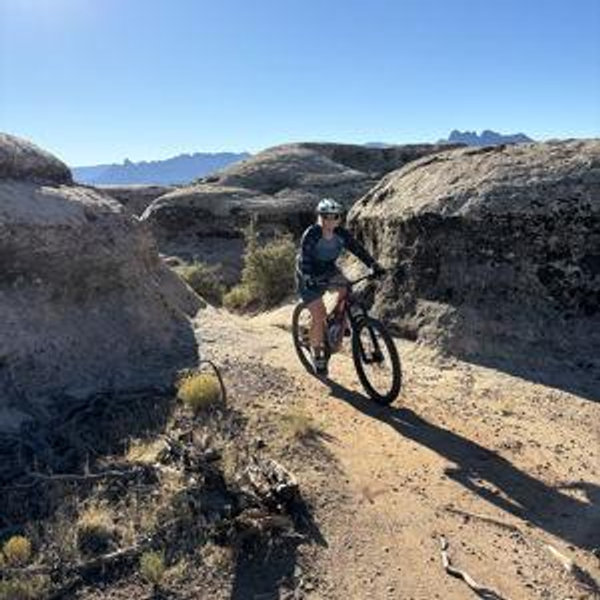 Bike Rental