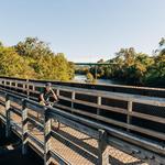 Blackwater Creek Trail