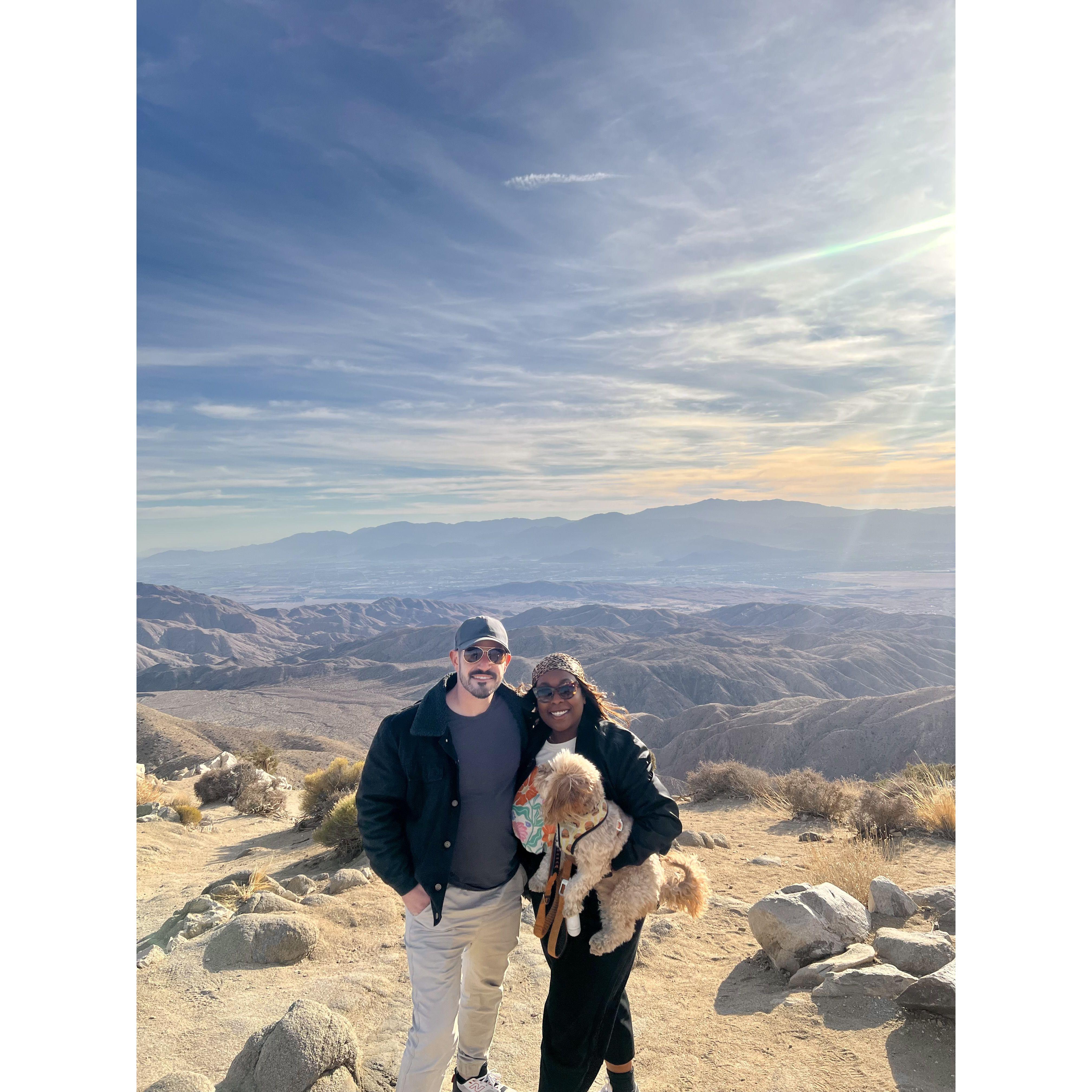 Our first time to Joshua Tree!