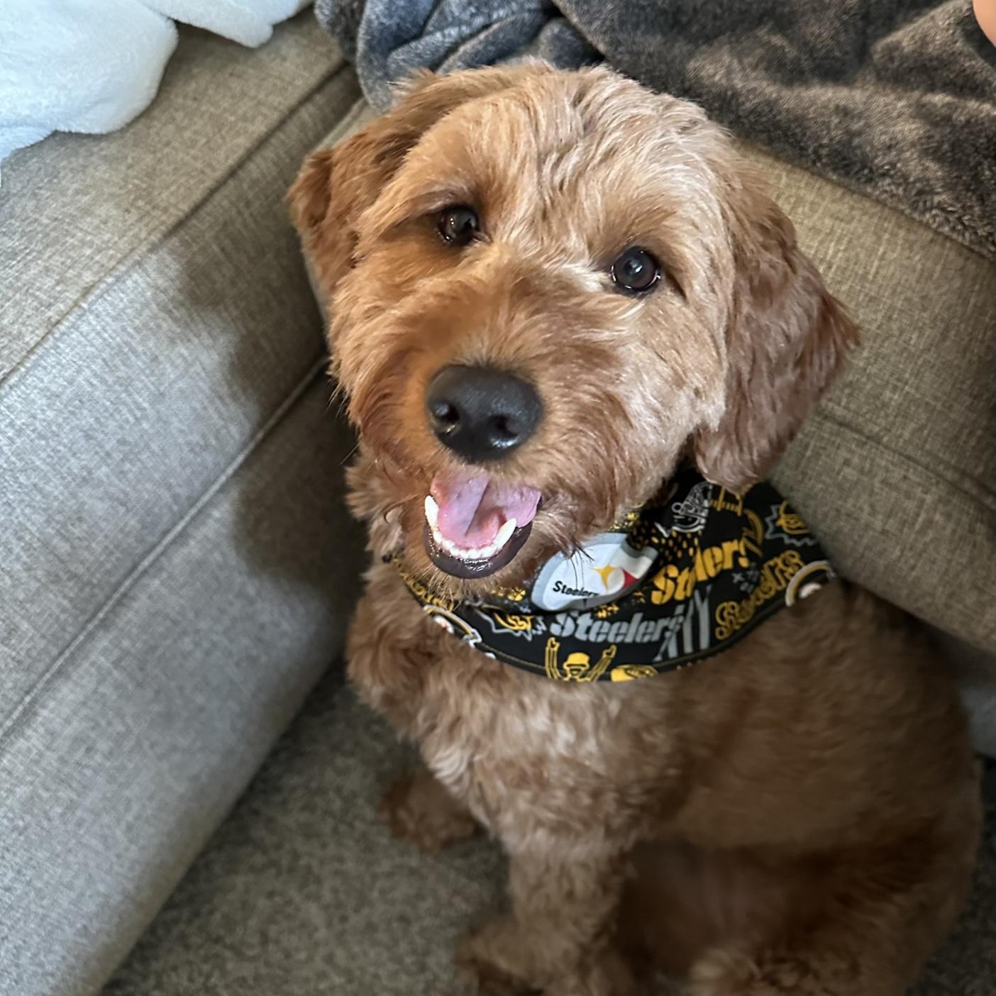 Caroline and Jake decided to make a big decision in 2022 and they haven’t looked back since. Dixie has been the perfect addition to their family.
