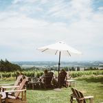 Red Ridge Durant Vineyards