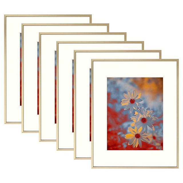 Golden State Art, 16x20 Picture Frame Gold Aluminum (Shiny Brushed) Display Pictures 11x14 with Mat or 16x20 Without Mat Wall Mounting Real Glass Metal Photo Frame (6-Pack)