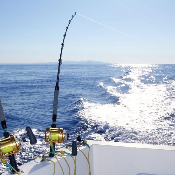 Deep Sea Fishing Charter in St Lucia