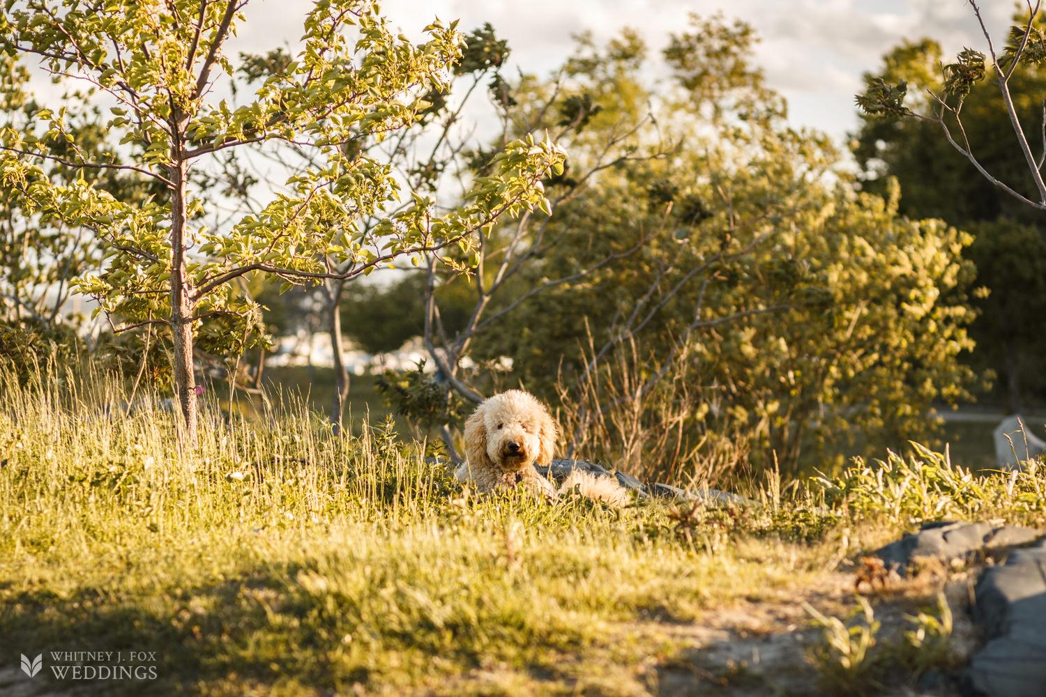 The Wedding Website of Julia McCaffrey and Patrick McCaffrey