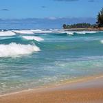 Waimea Bay Beach