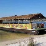 Twisted Tiki Tours