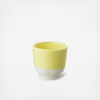 Color Lab Espresso Cup, Set of 6