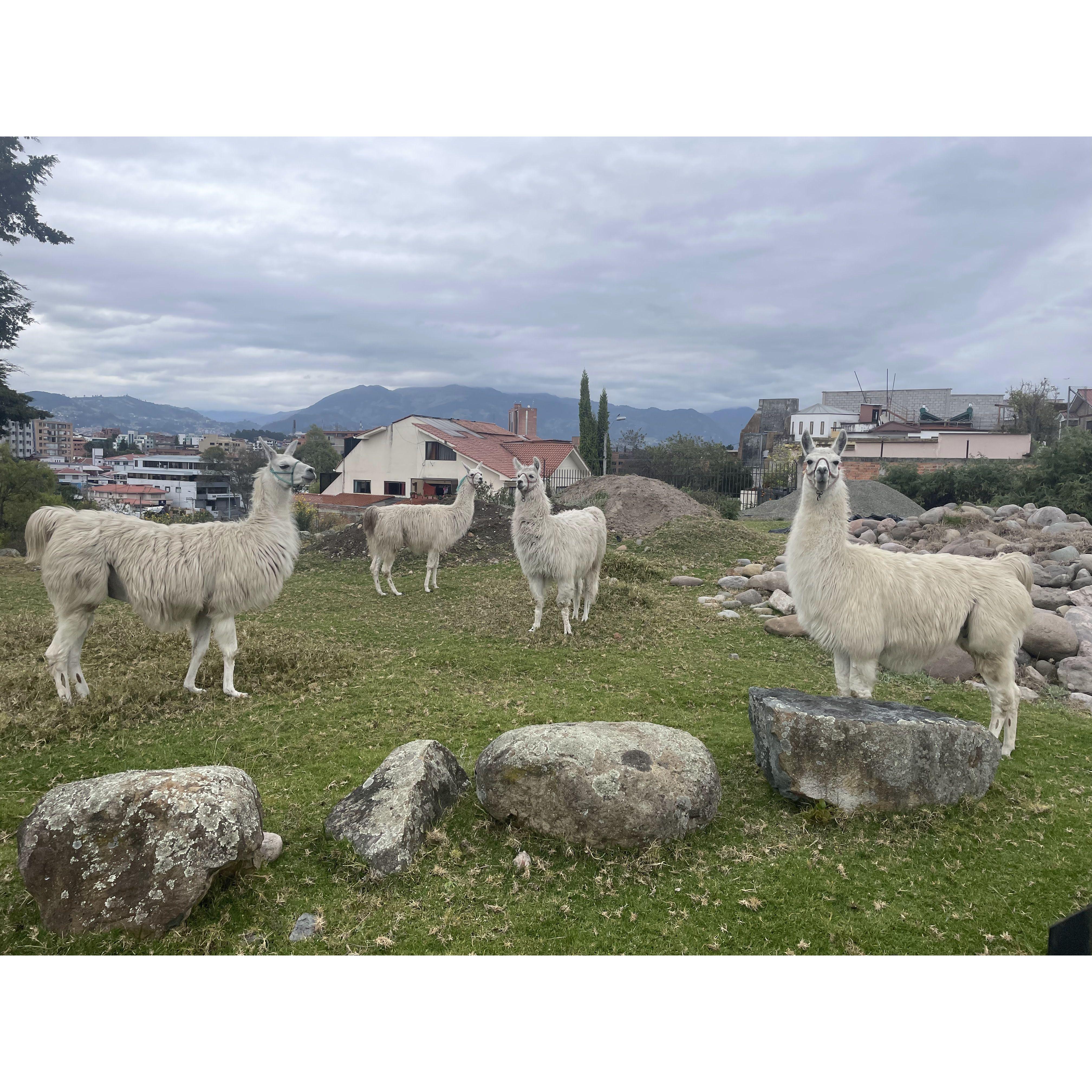 Made some new friends...