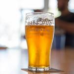 Bike Dog Taproom