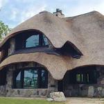 The Mushroom Houses