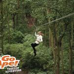 Go Ape Beechenhurst