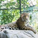 The Chattanooga Zoo at Warner Park