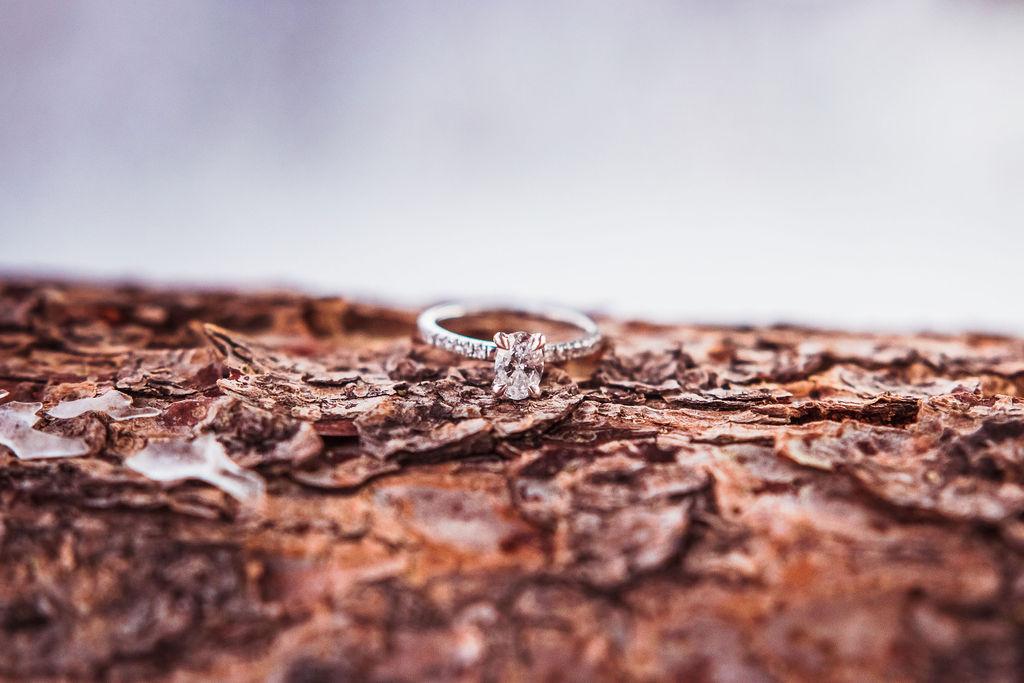 The Wedding Website of Abby Plunk and Trevor Christensen