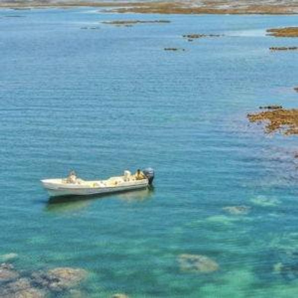 Honeymoon Snorkelling Excursion
