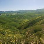 Bane Canyon Loop Trail