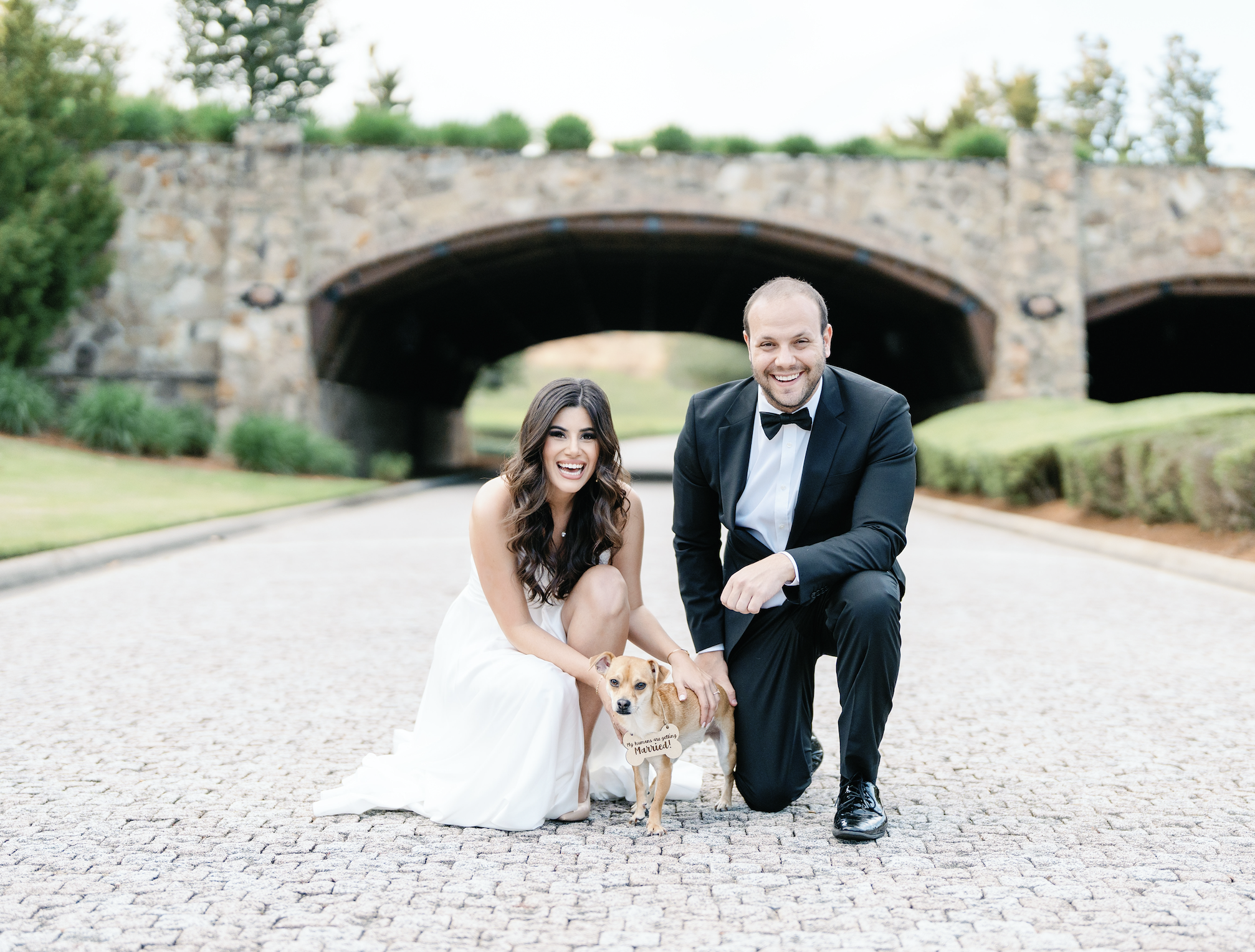 The Wedding Website of Tiffany Kontoyiannis Guillen and Roy Arwas