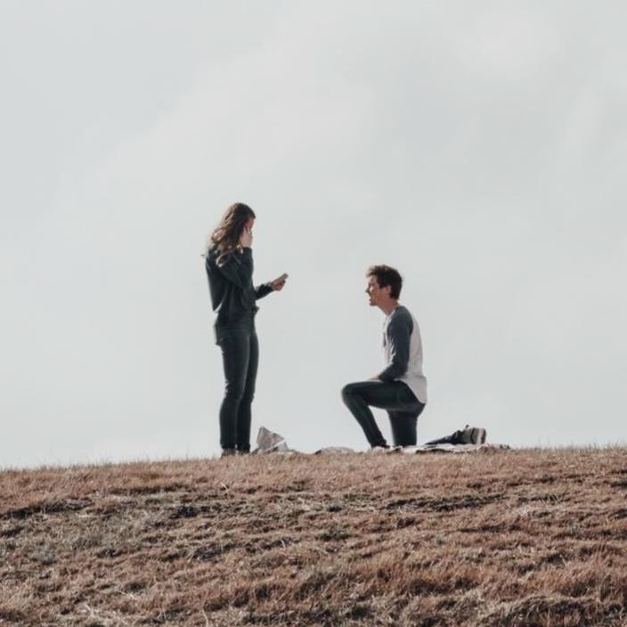 The Proposal