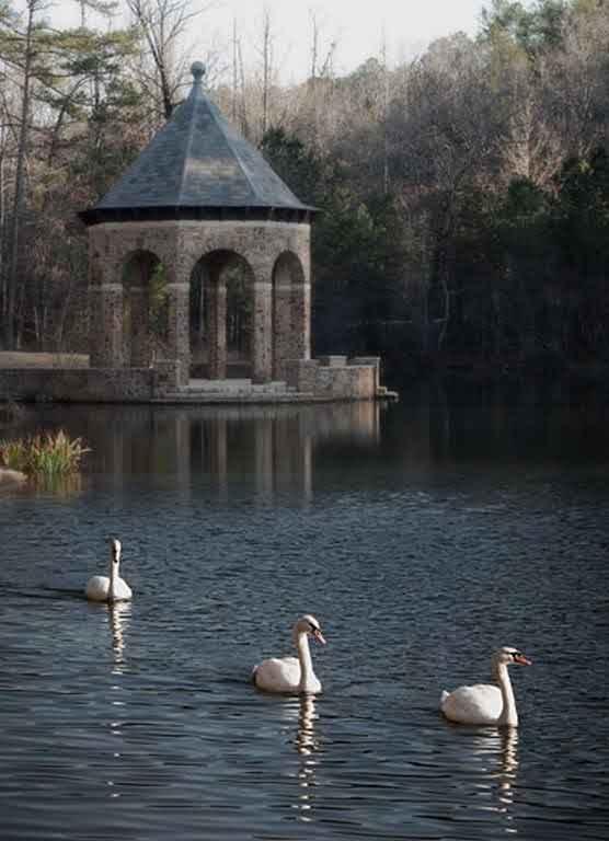 The Wedding Website of Sage Feldges and Aldrin Vendt