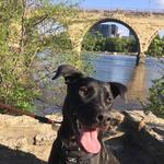 Father Hennepin Bluff Park
