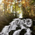 Vogel State Park