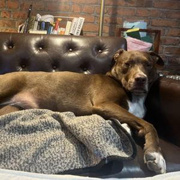 New couch fund