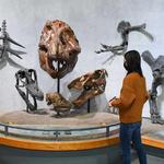 Denver Museum of Nature & Science