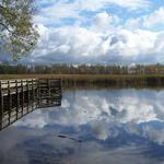 Tifft Nature Preserve