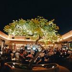 Kifissia Neighborhood
