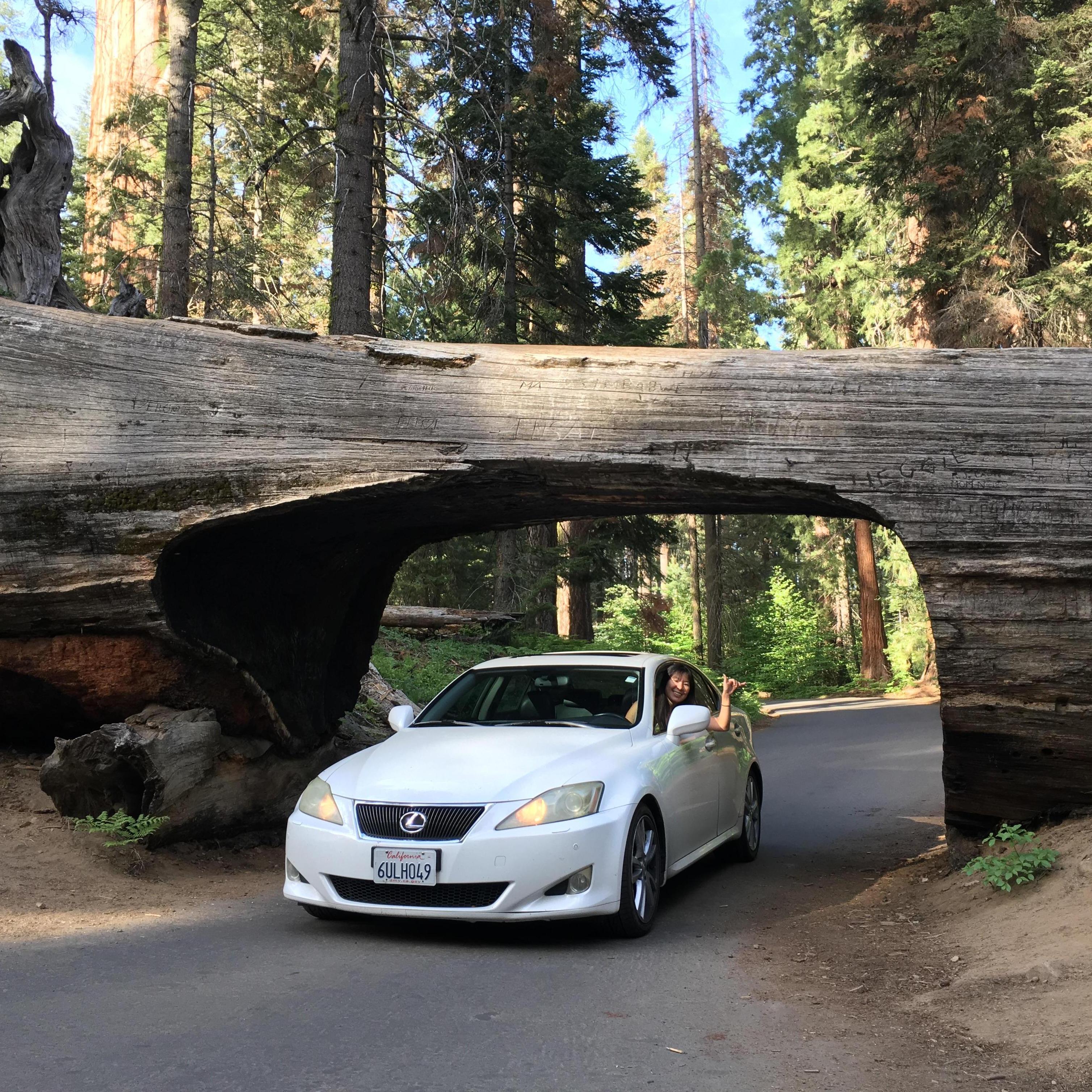 Sequoia National Park