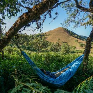 Trunk Tech Double Printed Hammock