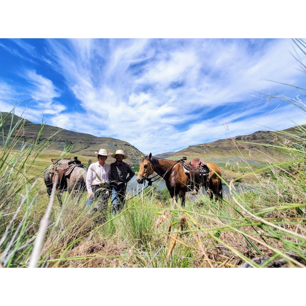 Moving cows