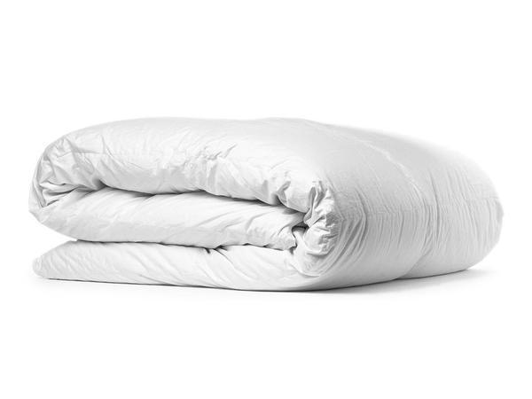 Down Duvet Insert