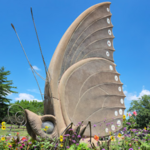 Sophia M. Sachs Butterfly House