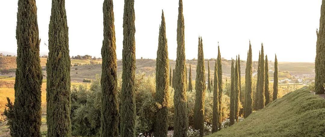 The Wedding Website of Maria Balasi and Nathan Kennedy