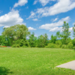 Whitecliff Vineyard & Winery