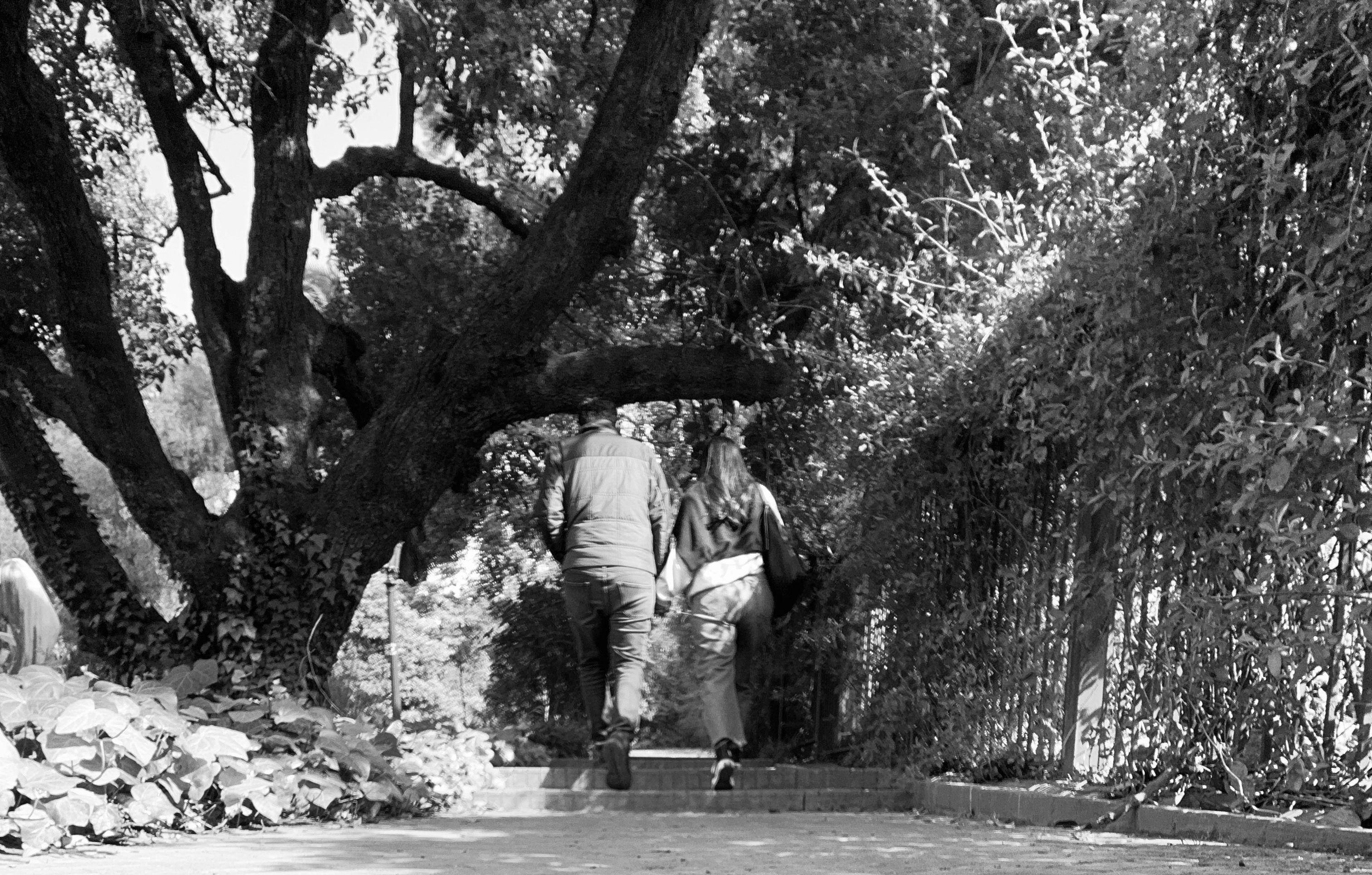 The Wedding Website of Allison Rivera and Jose Armando Erazo