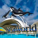 SeaWorld San Diego