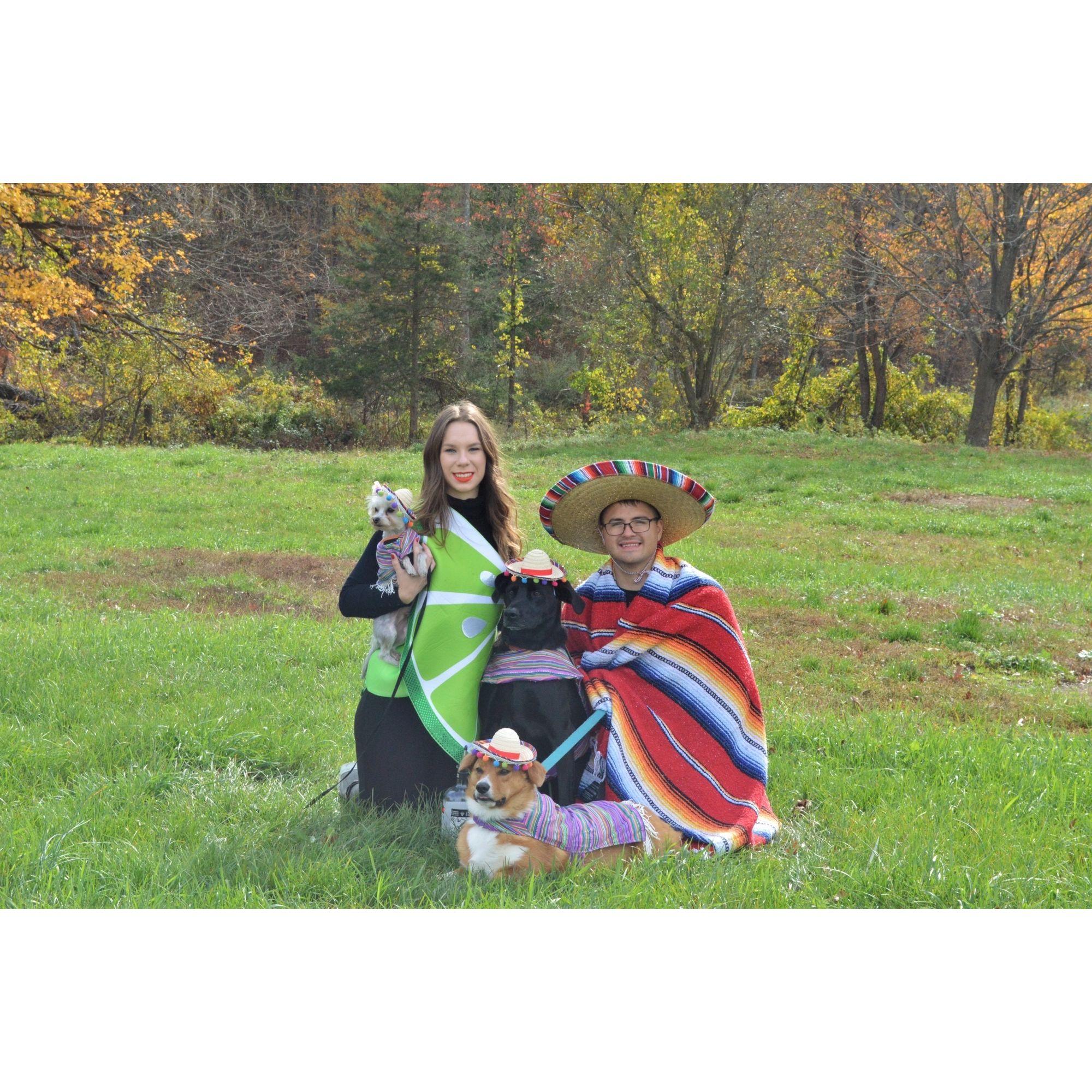 We dressed up our dogs for Halloween