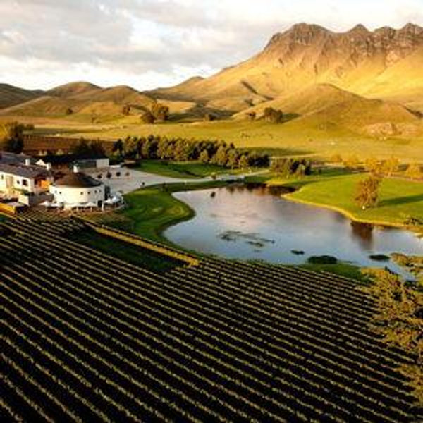 Wine Tasting For Two