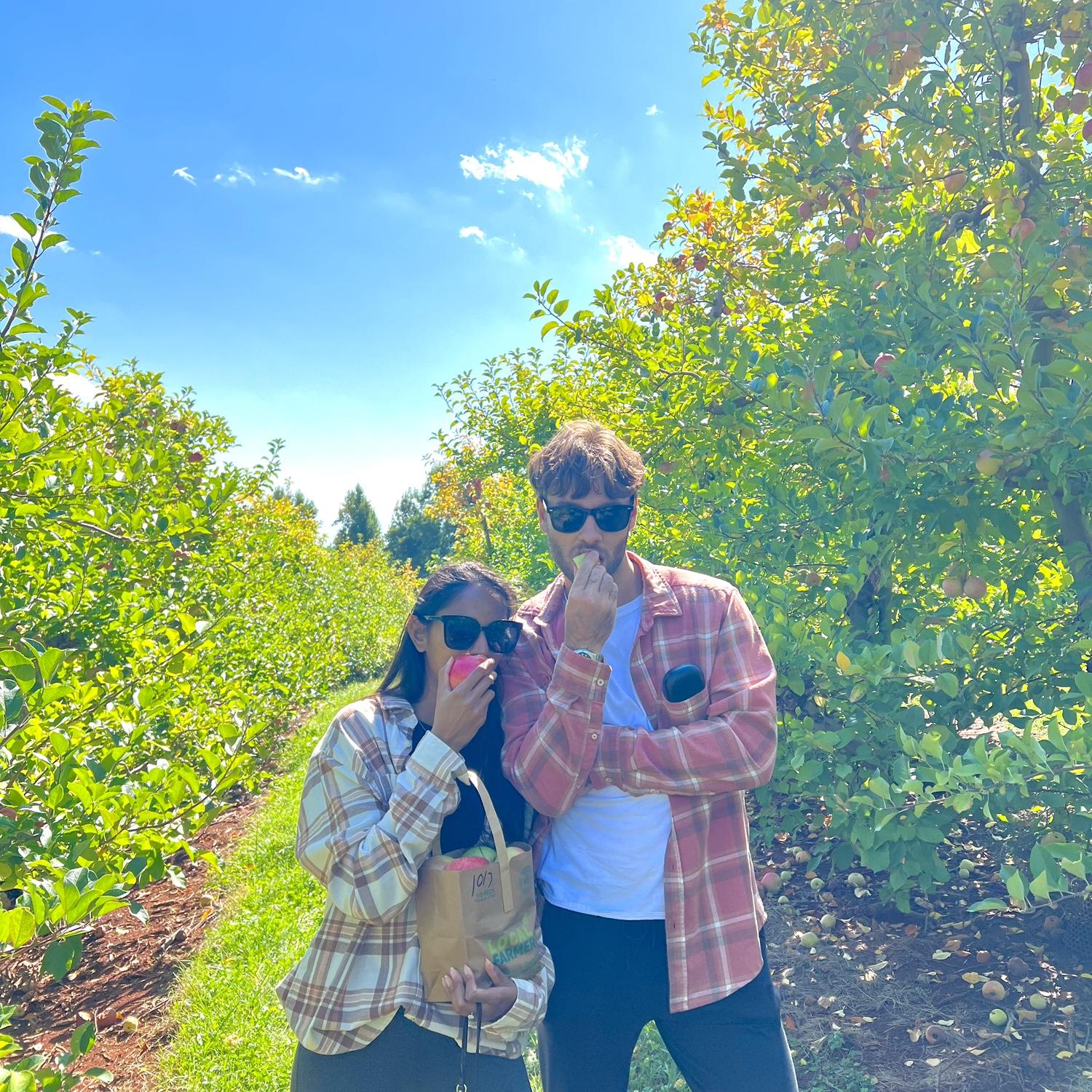 apple picking 🍎