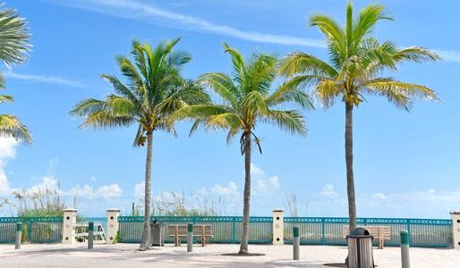 The Wedding Website of Yesenia Miller and Ethan Steinbacher