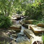 Cox Arboretum MetroPark