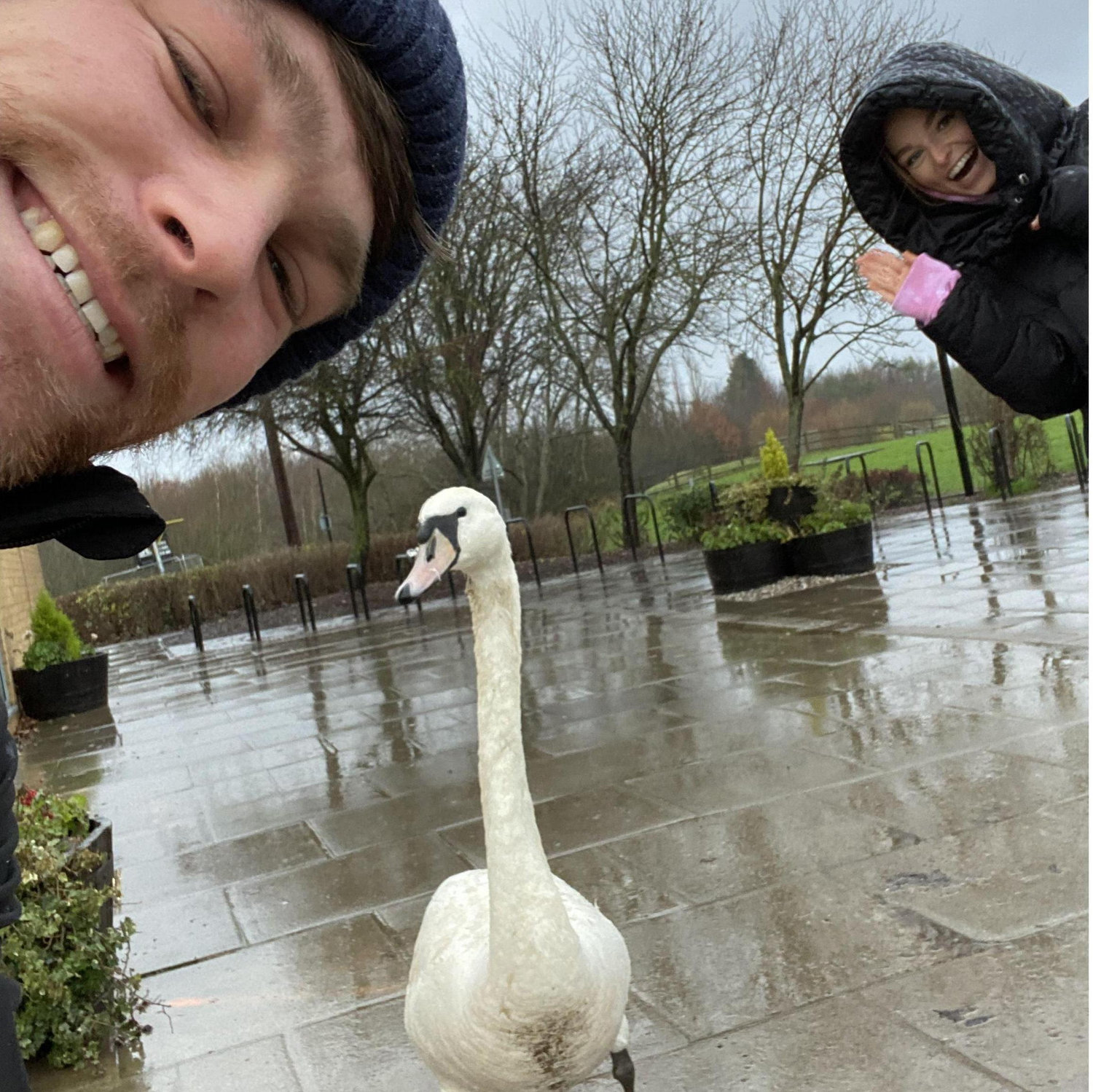 October 2021 - Making friends with Steve, who followed us into Pugneys cafe. Every swan is now Steve.