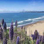 Stinson Beach