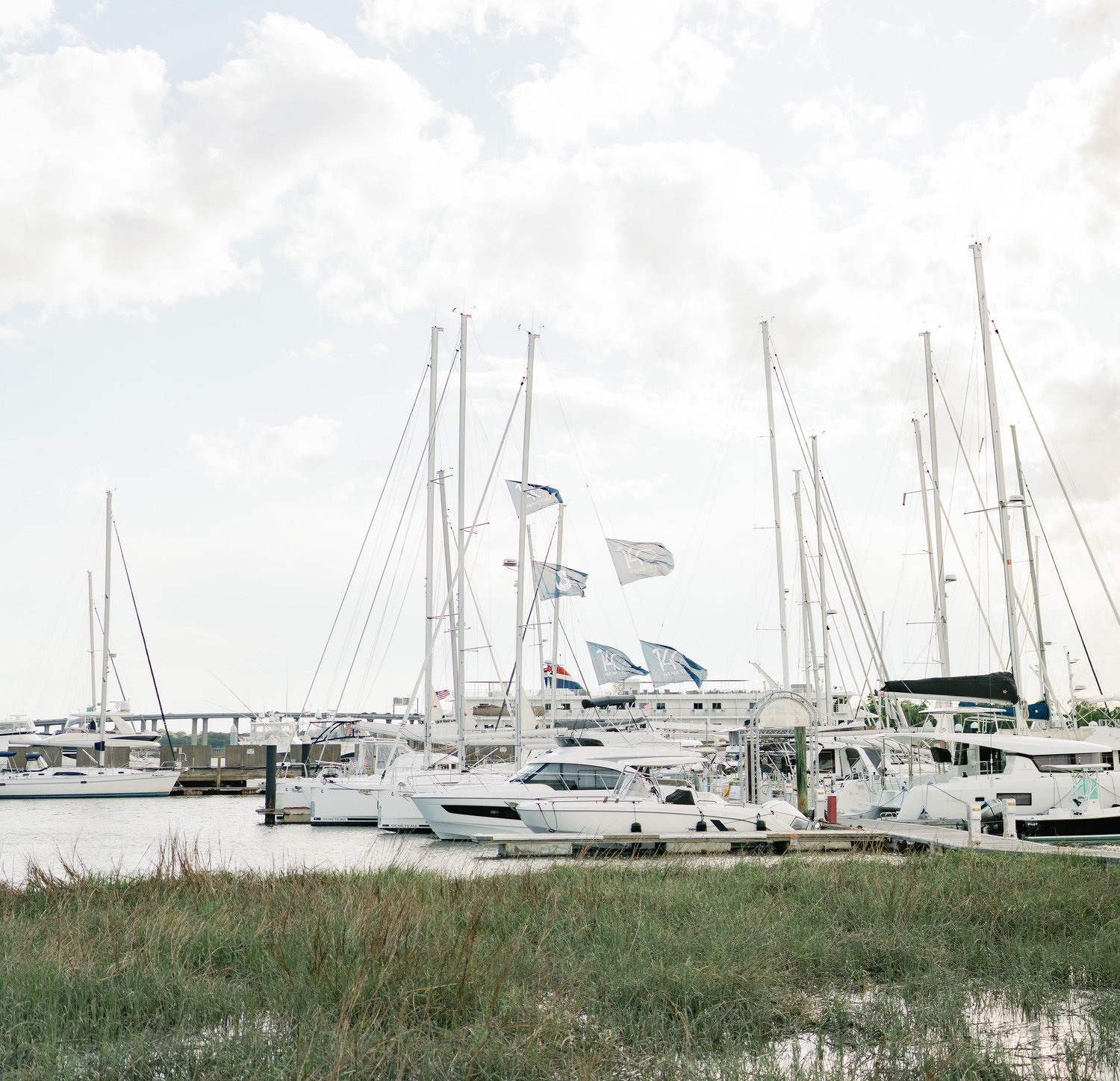 The Wedding Website of Sydney Seigler and Shea Raff