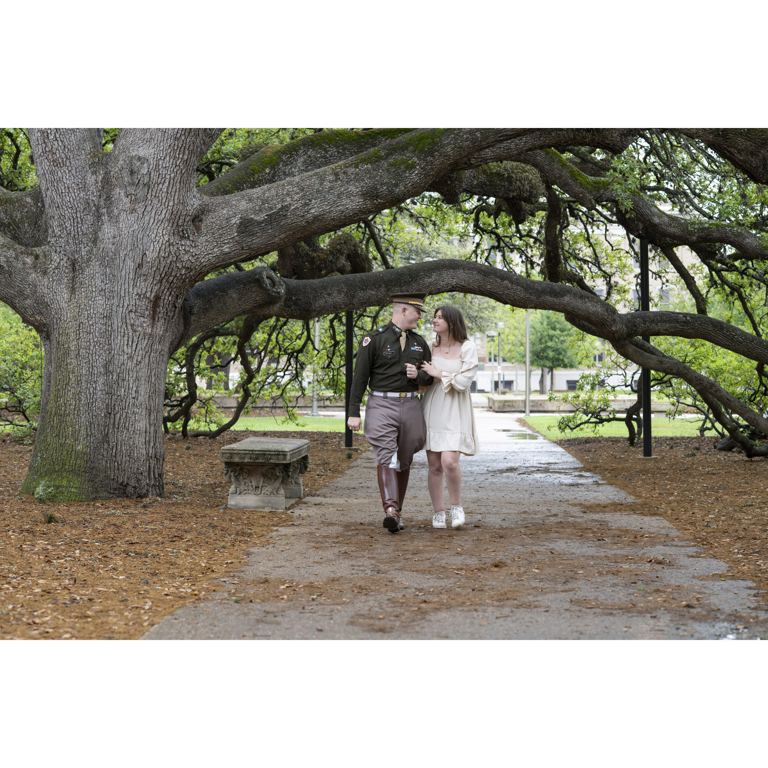 No Aggie proposal is complete without walking under the century tree