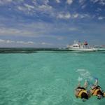 John Pennekamp Coral Reef State Park - Snorkel, Kayak, Glass Bottom Boat