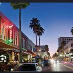 Clematis Street