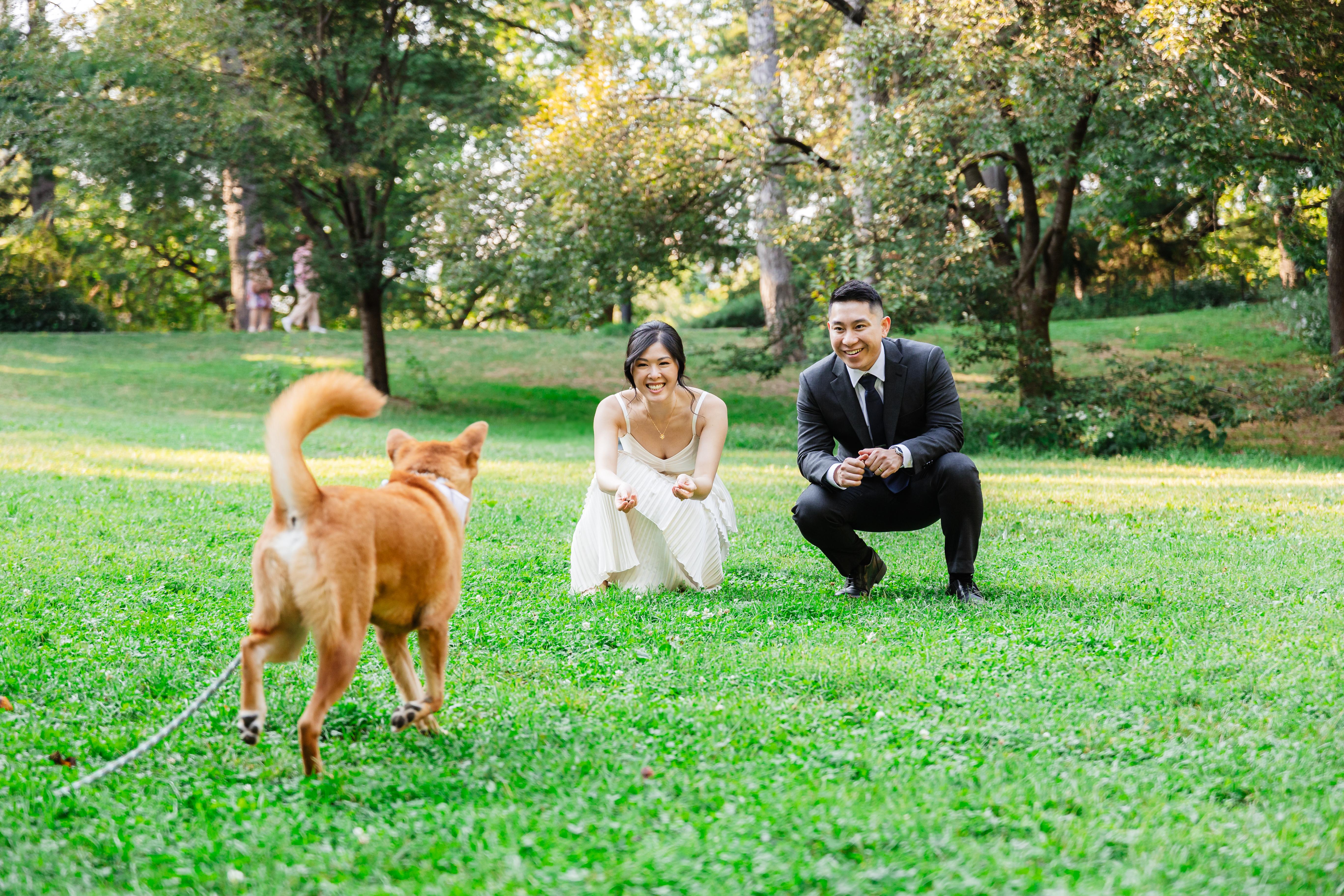 The Wedding Website of Alice Lu and Leon Xu
