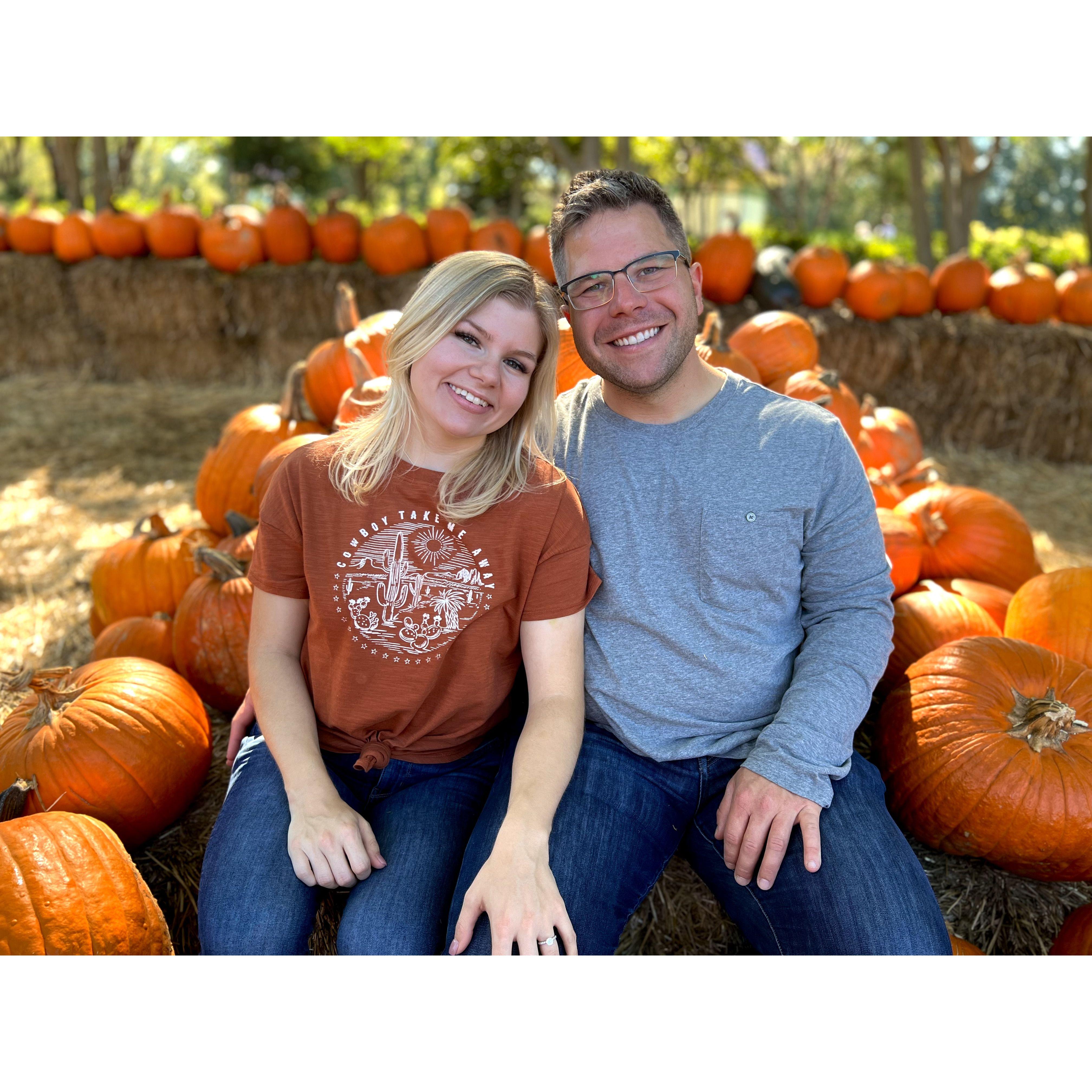 2nd year going to the Dallas Arboretum pumpkin patch!